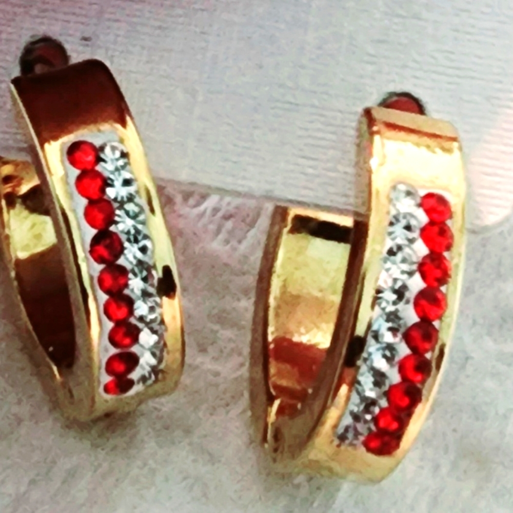 Women earing stainless steel